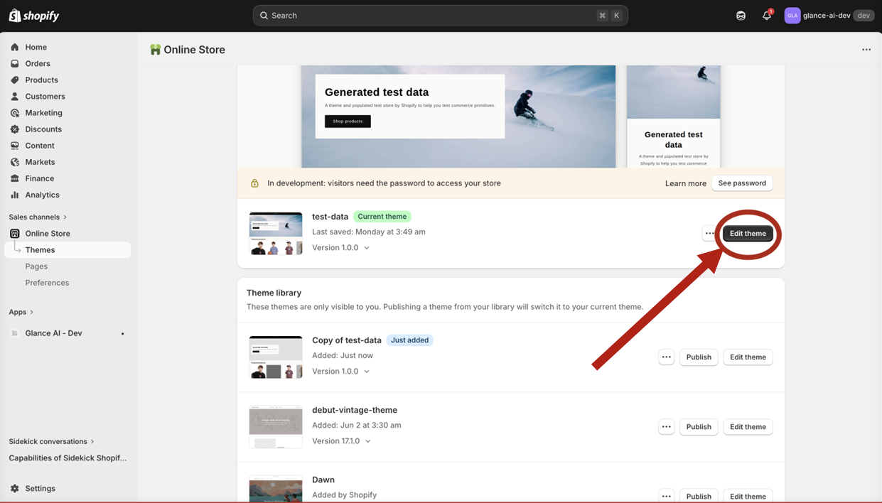 Themes Page - Click Customize